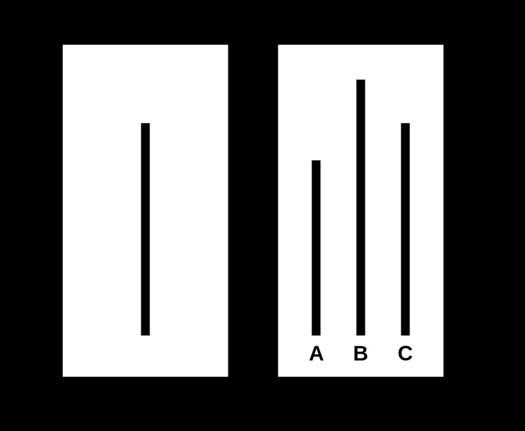 asch experiment social proof