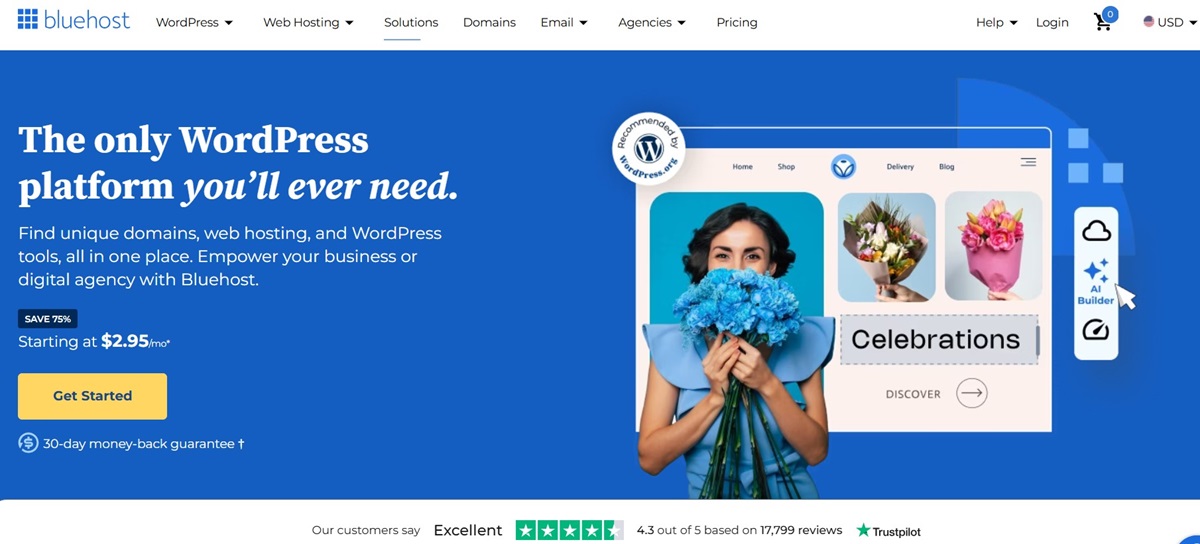 bluehost website